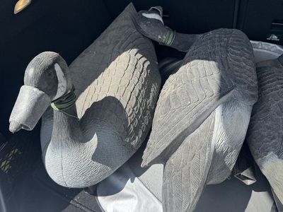 Goose Decoys