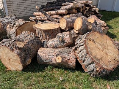 FREE Firewood