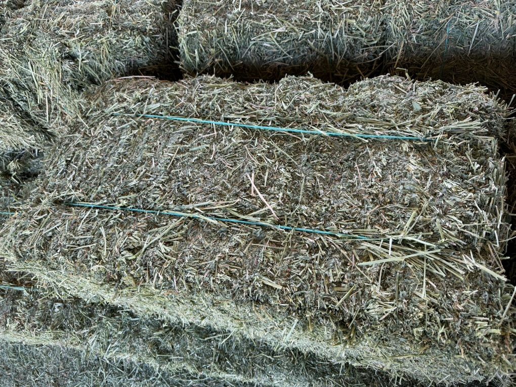 Alfalfa Bundles