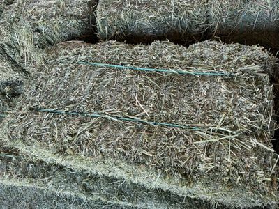 Alfalfa Bundles