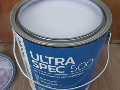 1 Gallon Purple Interior Eggshell Wall Paint BM