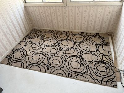 Geometric Swirls Area Rug - Beige & Black Accent Carpet