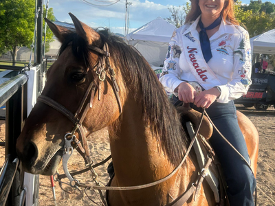 Ranch Horse Deluxe
