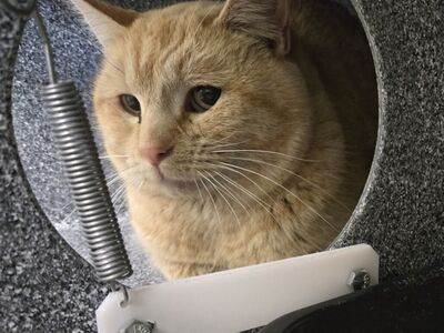 Hello my name is Cucumber