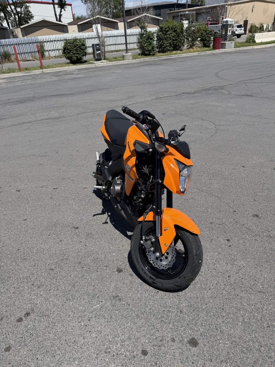 Kawasaki Z125 Pro Mini