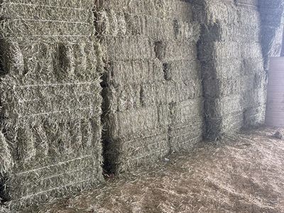 Alfalfa/Tritacle Mix Hay
