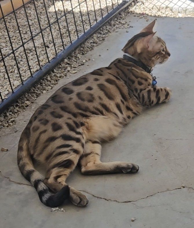 Main image 2