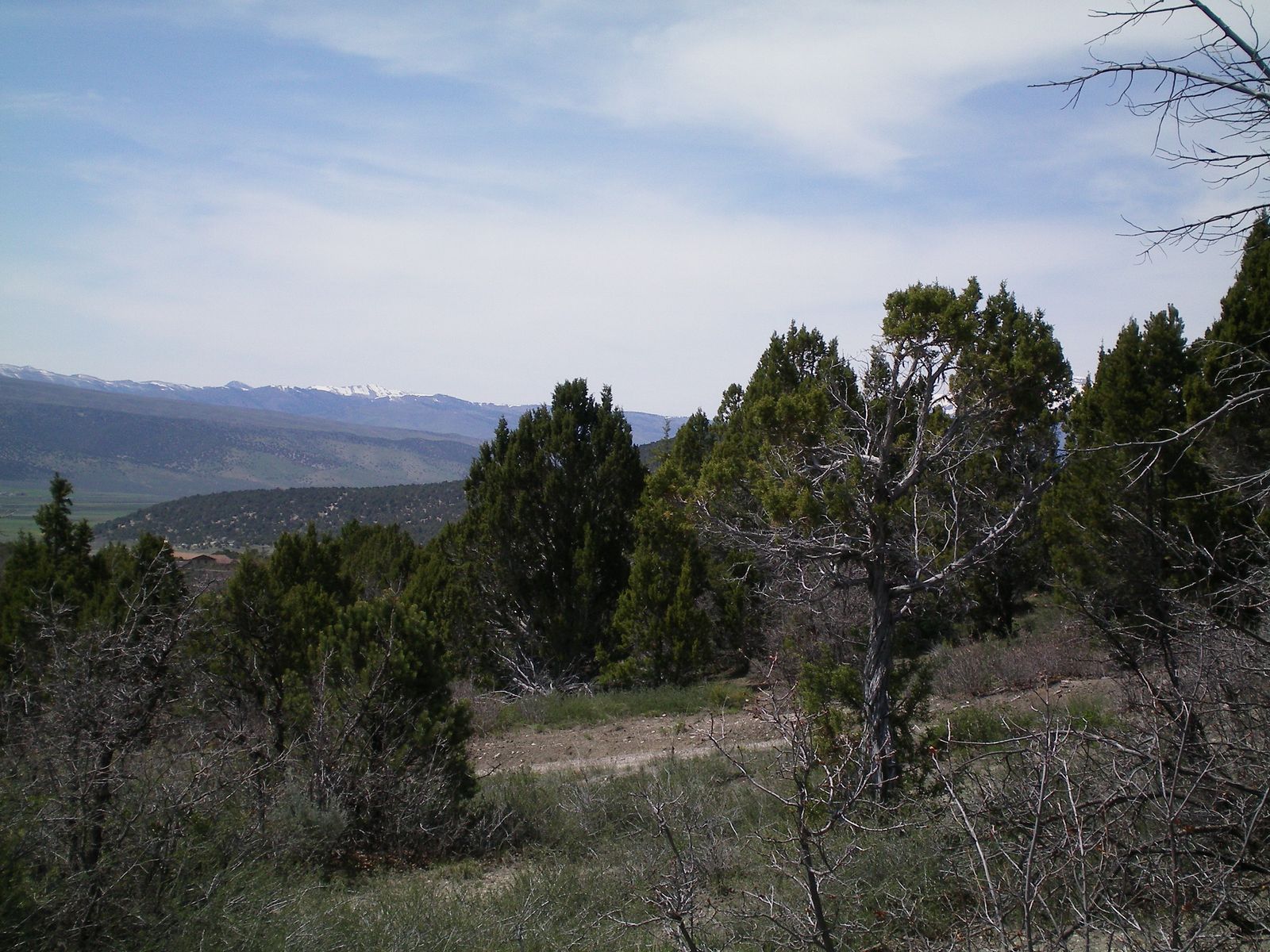 Main image 4