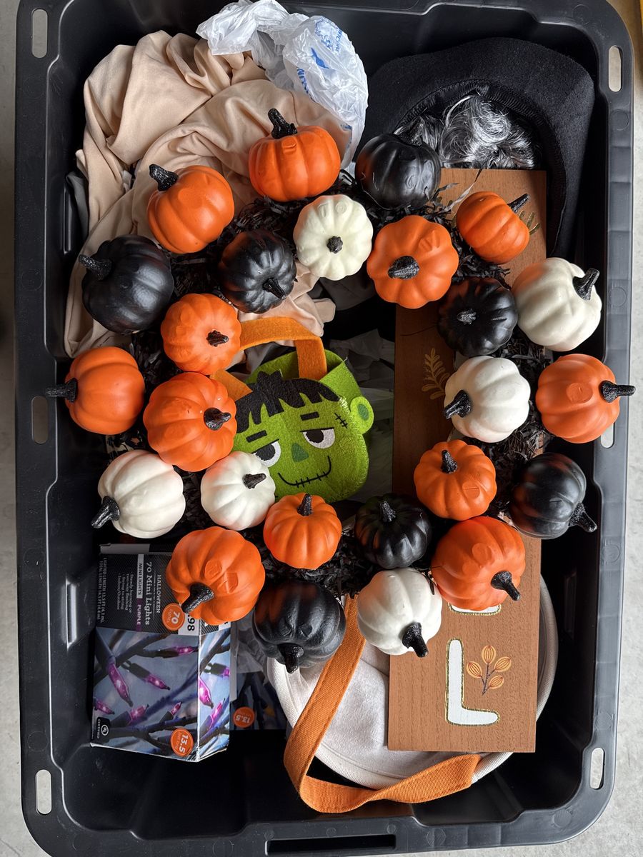 Halloween and Fall Decorations Lot - Mini Pumpkins, Lights, Wigs, Costumes & More!