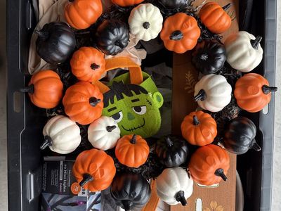 Halloween and Fall Decorations Lot - Mini Pumpkins, Lights, Wigs, Costumes & More!