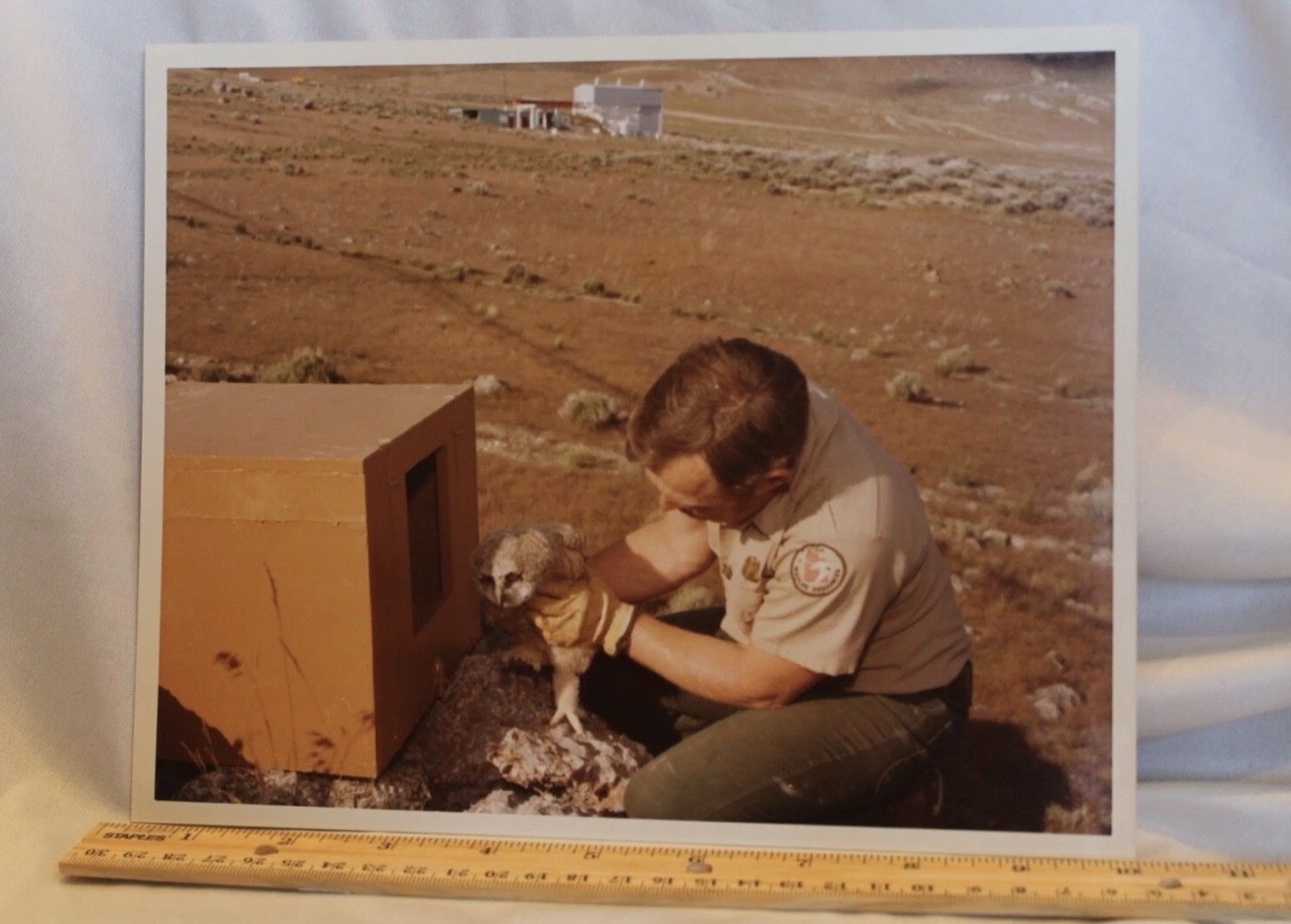 1980 Vintage Thiokol Corp. Ranger with Owl Photograph - Wildlife Conservation Historical Photo