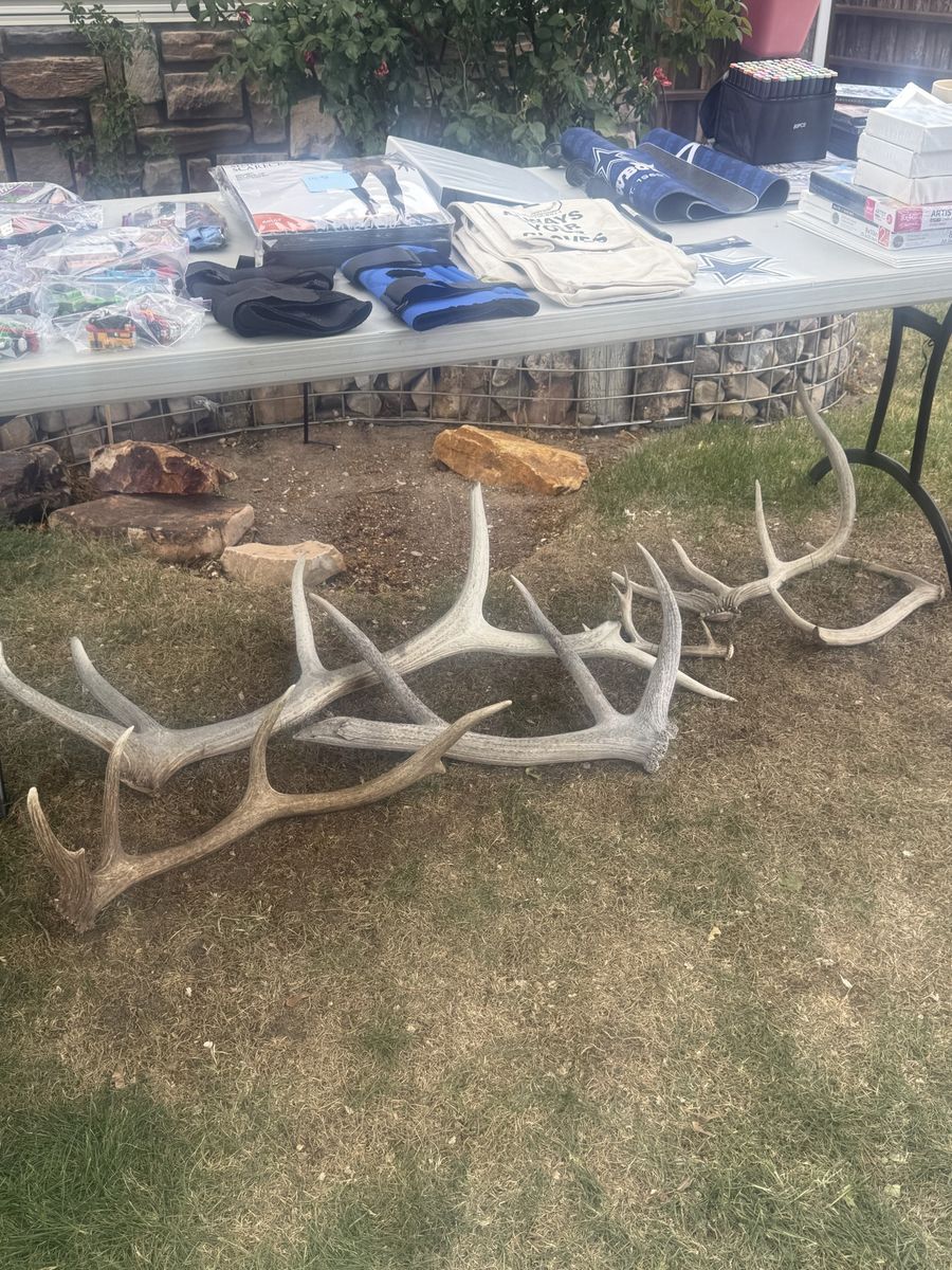 Deer and elk sheds