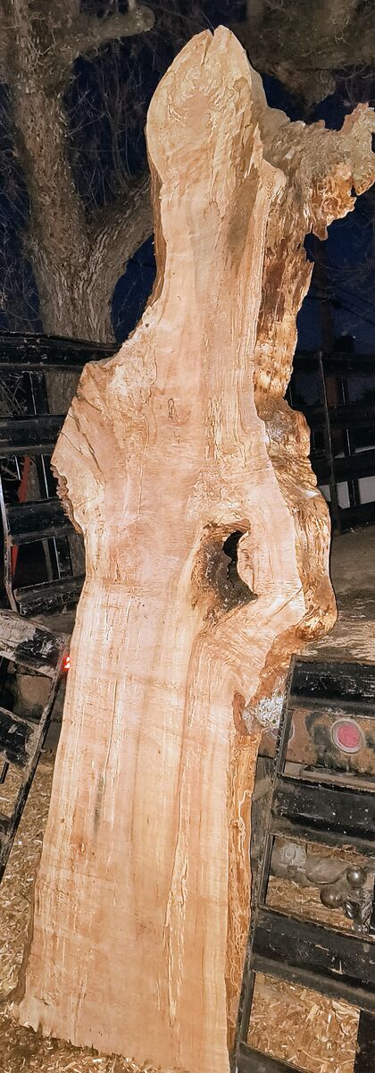 Beautiful live edge Maple slab