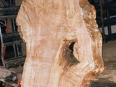 Beautiful live edge Maple slab