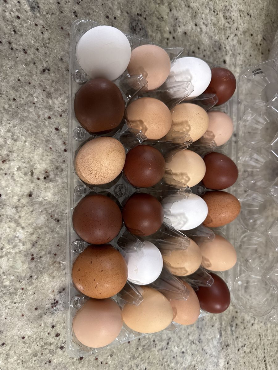 Farm Fresh Eggs