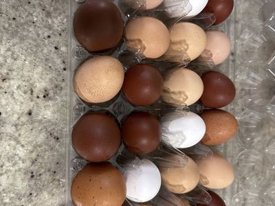 Farm Fresh Eggs