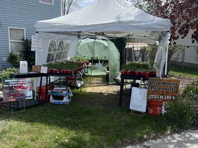 Plant sale