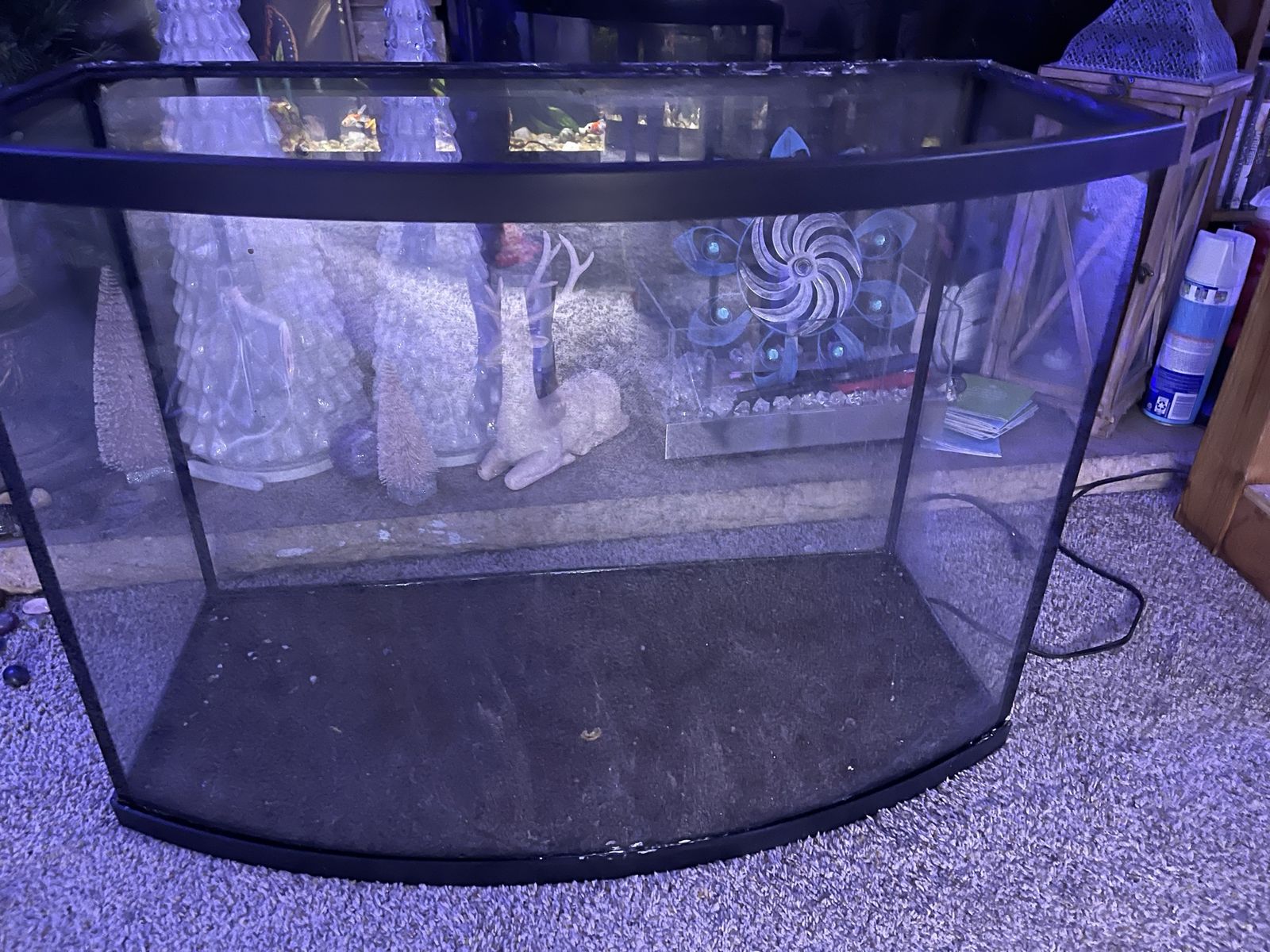 36 gallon bow front and Stan