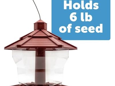 Gazebo bird feeder holds up to 6 lbs of bird food