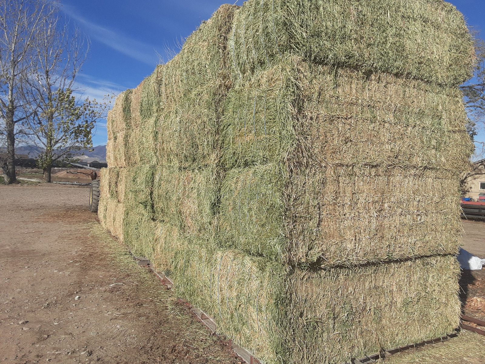2nd Crop Alfalfa Hay