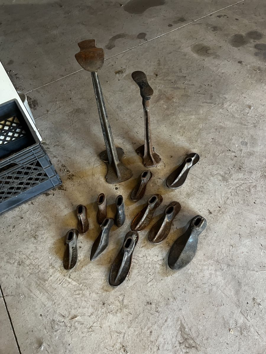 Vintage Cast Iron Cobbler Shoe Lasts & Repair Stands - Full Set, Various Sizes, Rustic Decor