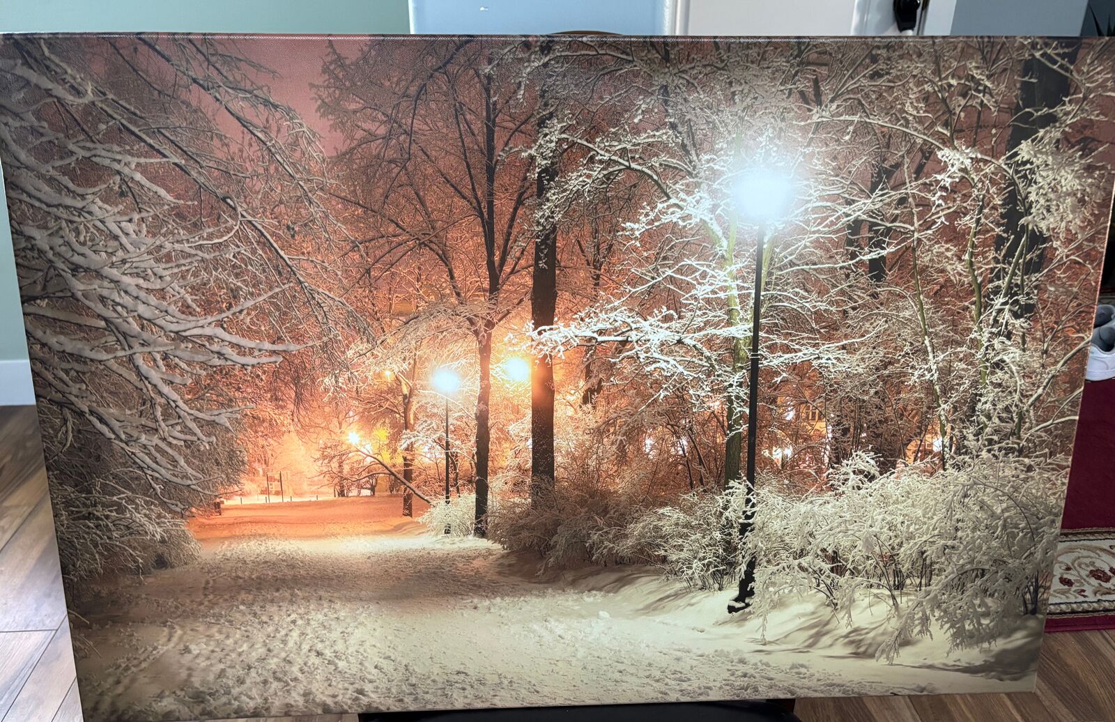 Gorgeous snow scene on Canvas