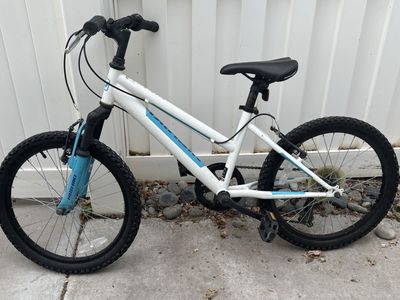 Nishiki Youth Mountain Bike, White/Blue, 20-inch Wheels, Single Speed