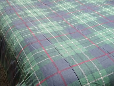 Queen Size Bed Spread or Comforter