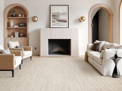 NEW 6x9 - Stain Resistant 6x9 Area Rugs for Living Room, Non Slip Backing Gradient Brown
