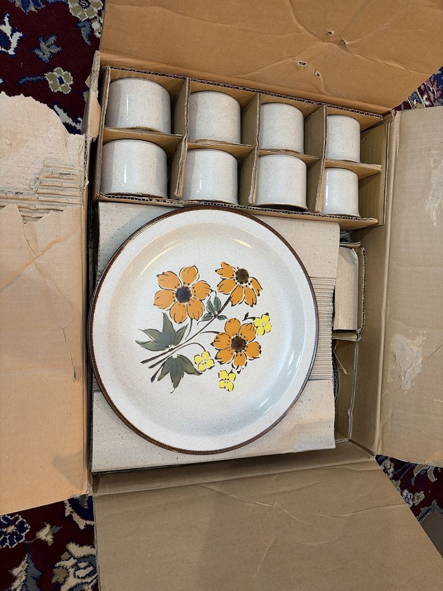 New Vintage 45 piece Creston Stoneware Orangeade Dinnerware Set - Service for 8