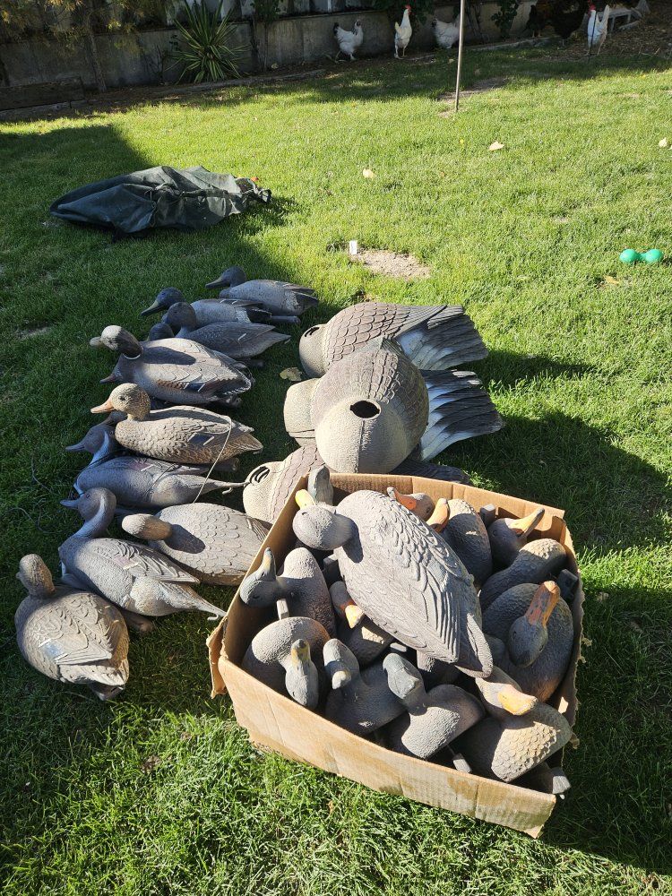 Main image 3