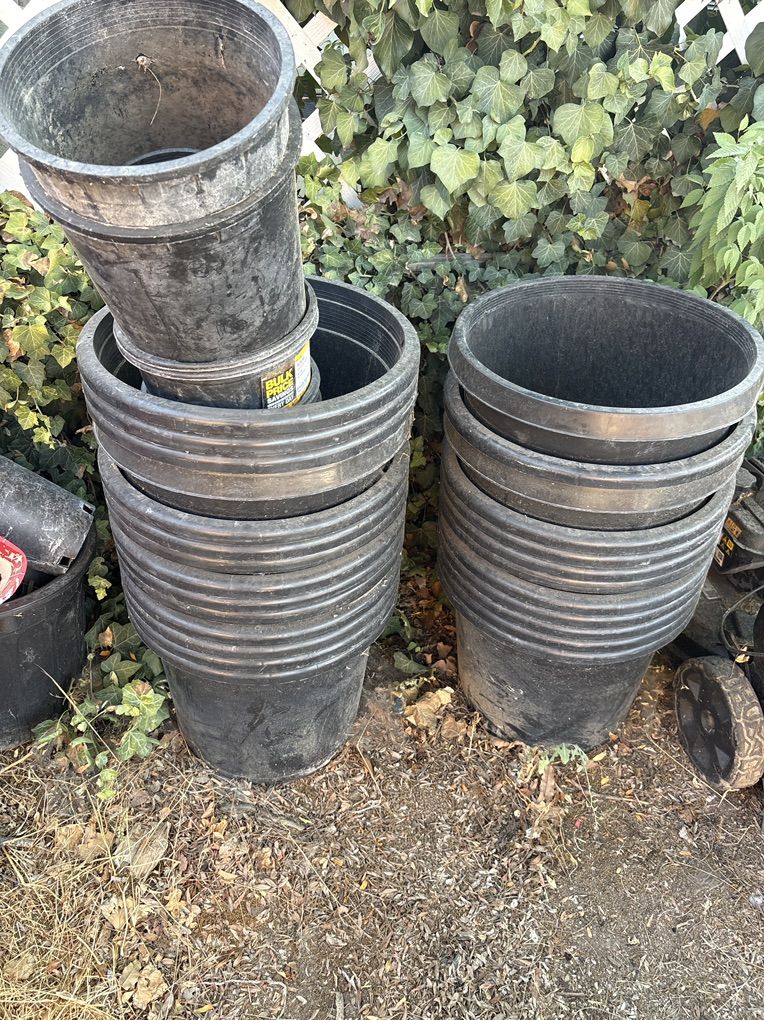 8 Gl Nursery Pot