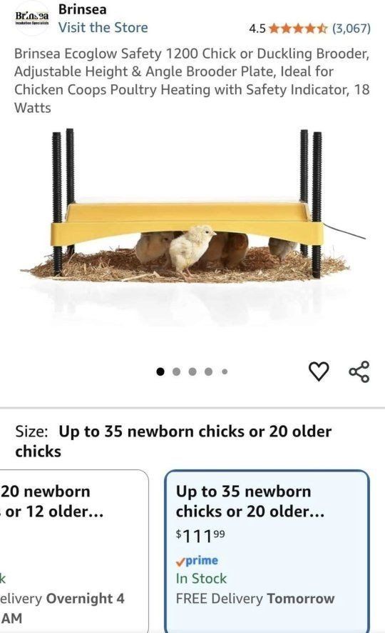 Brinsea Ecoglow Safety 1200 Chick/Duckling Brooder - Adjustable Height, 18W - Holds up to 35 Chicks