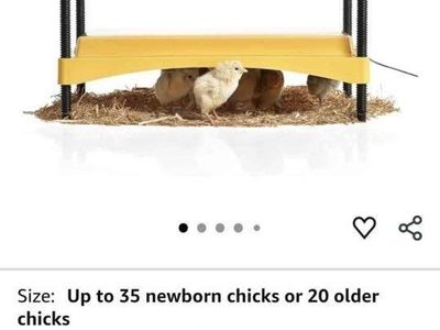 Brinsea Ecoglow Safety 1200 Chick/Duckling Brooder - Adjustable Height, 18W - Holds up to 35 Chicks