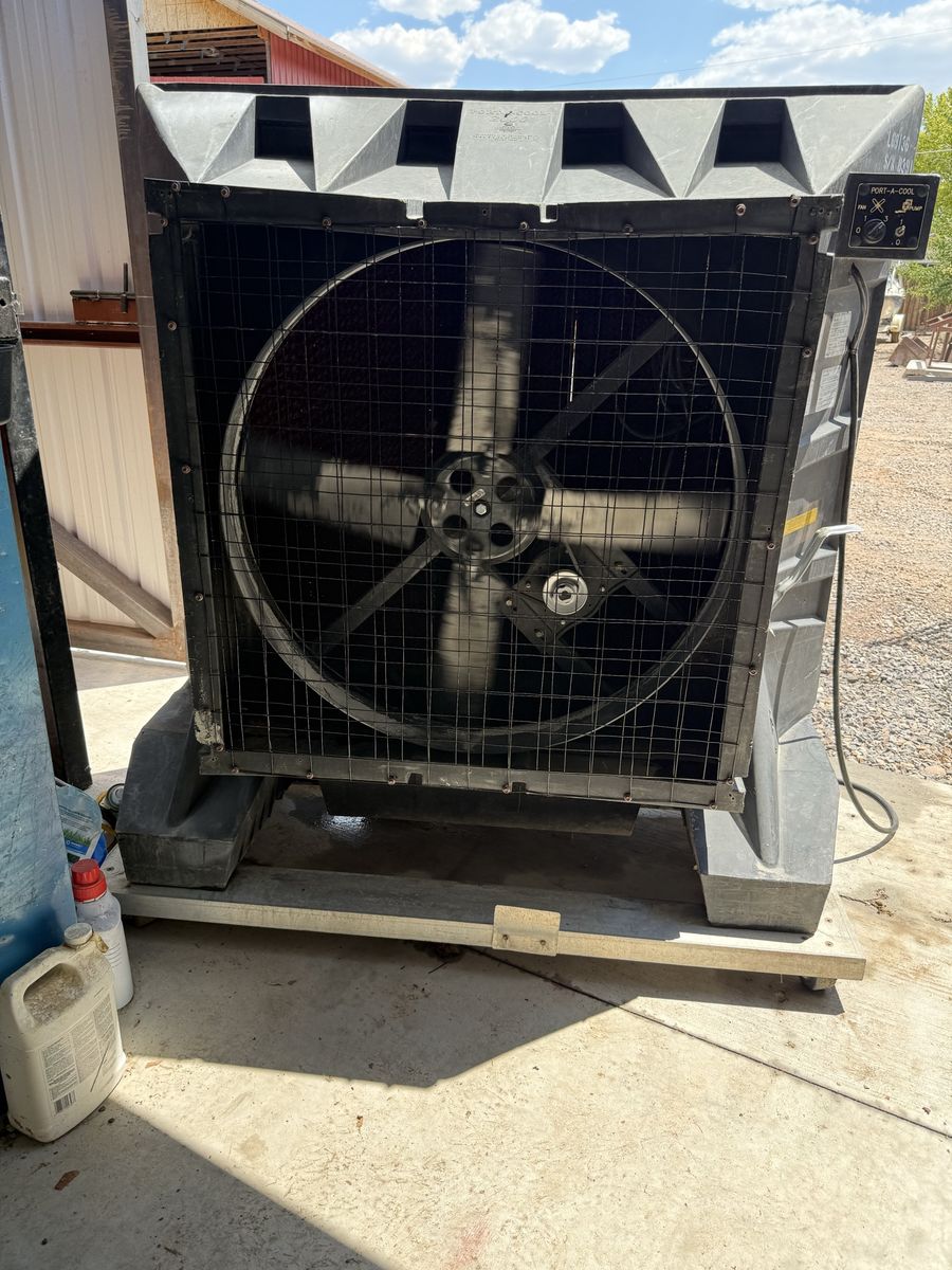 Main image 2