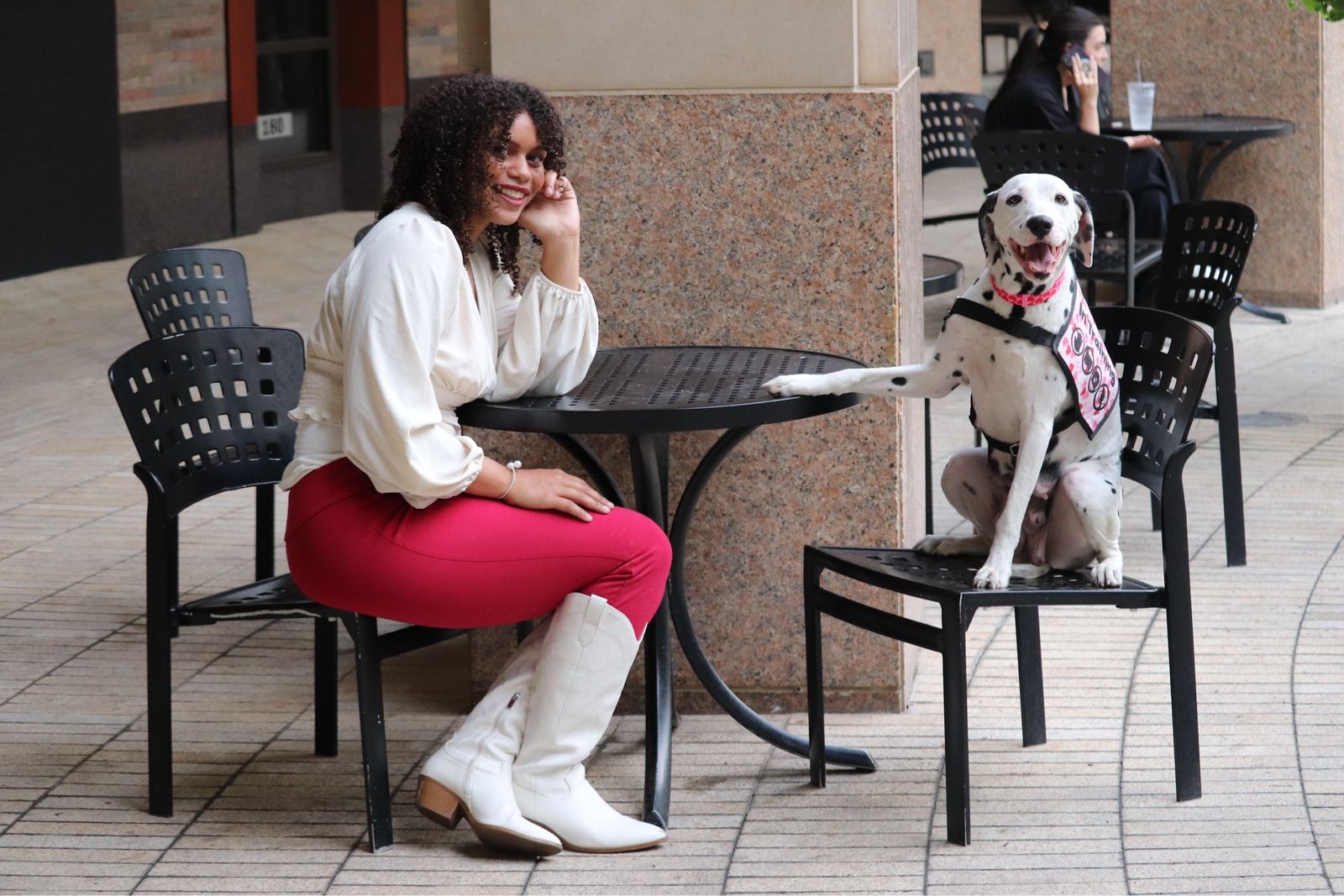 Dalmatian (Service Dog)