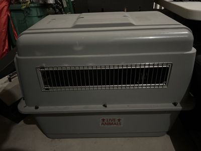 Petmate Sky Kennel Large Plastic Pet Carrier Dog Crate - Gray