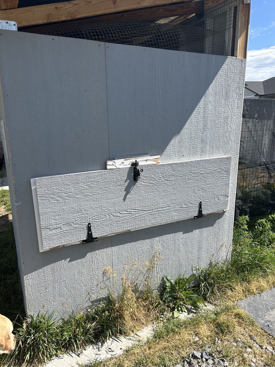 Main image 6