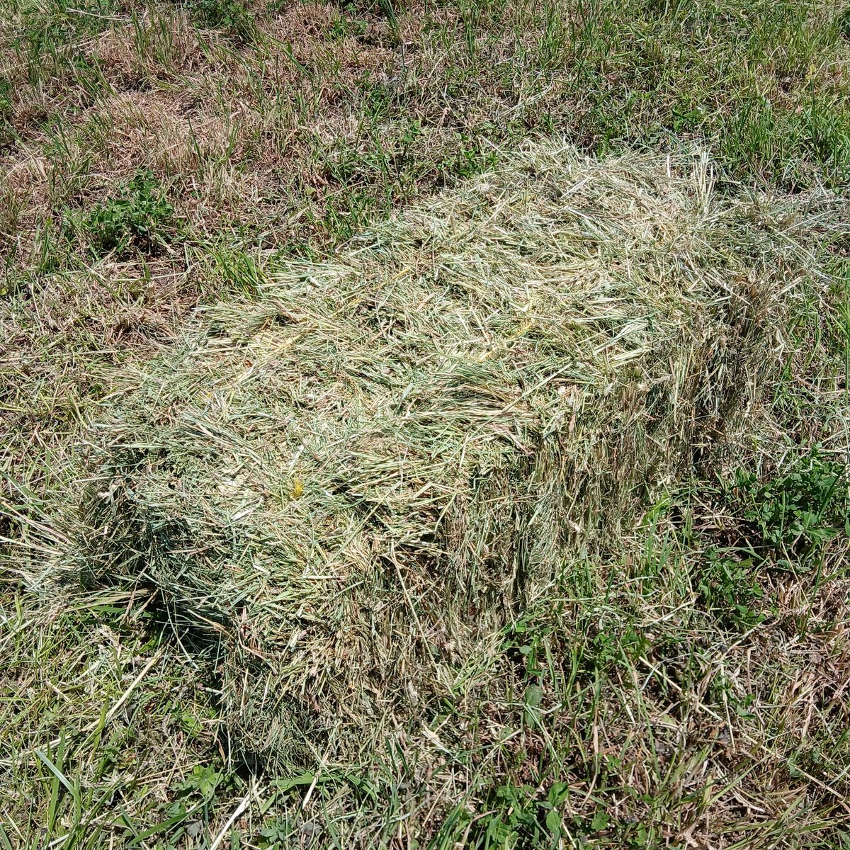 Main image 2