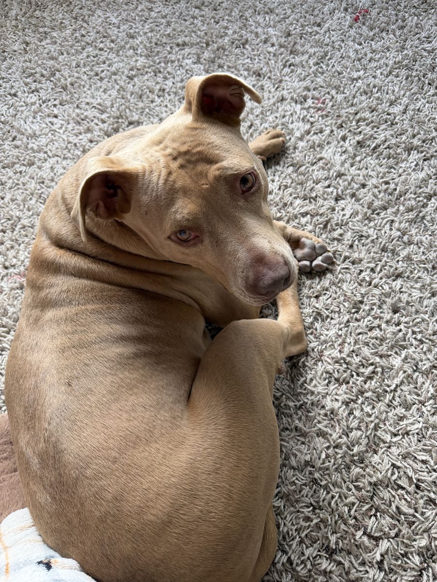 Need to rehome CALL FOR QUOTE