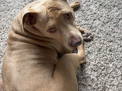 Need to rehome CALL FOR QUOTE