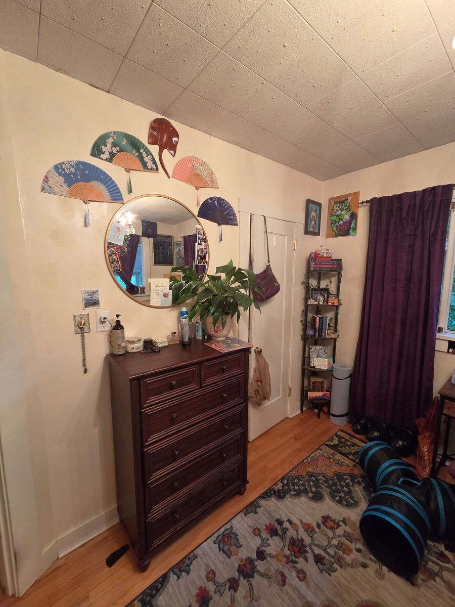 Main image 7