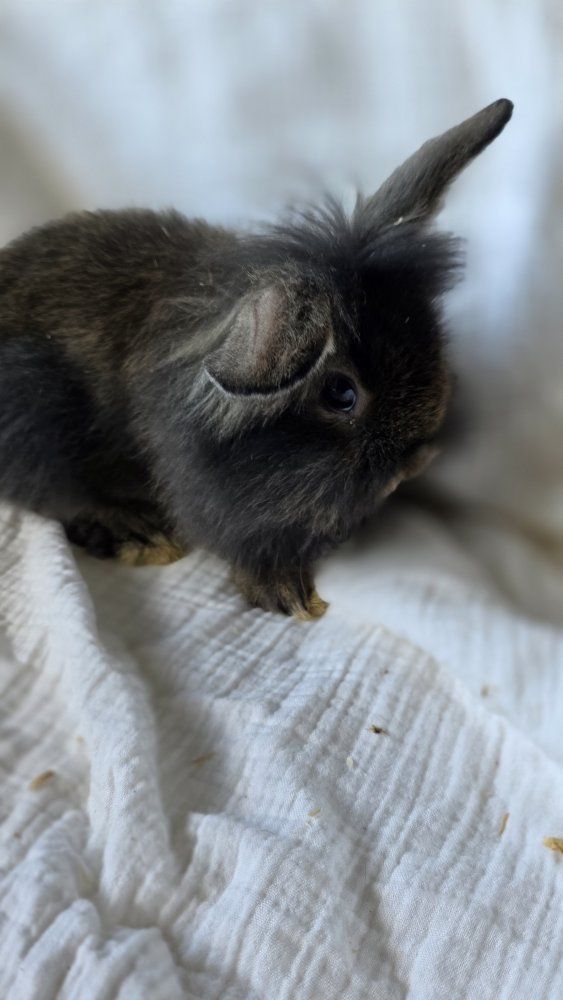 Main image 9