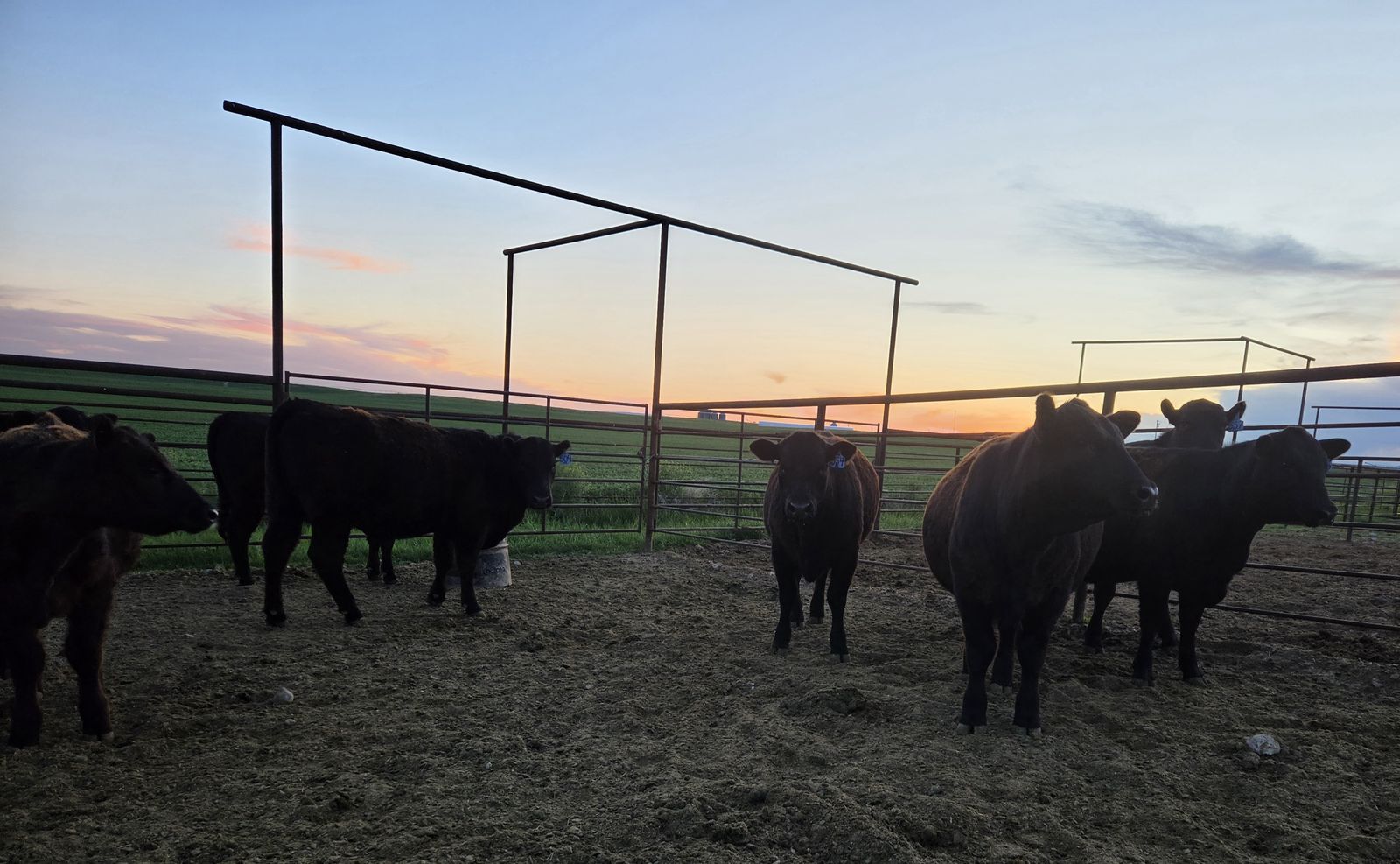Main image 5