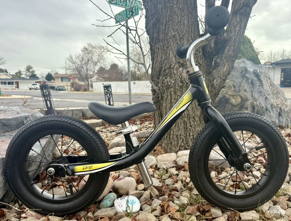 12 Inch Giant Balance Bike