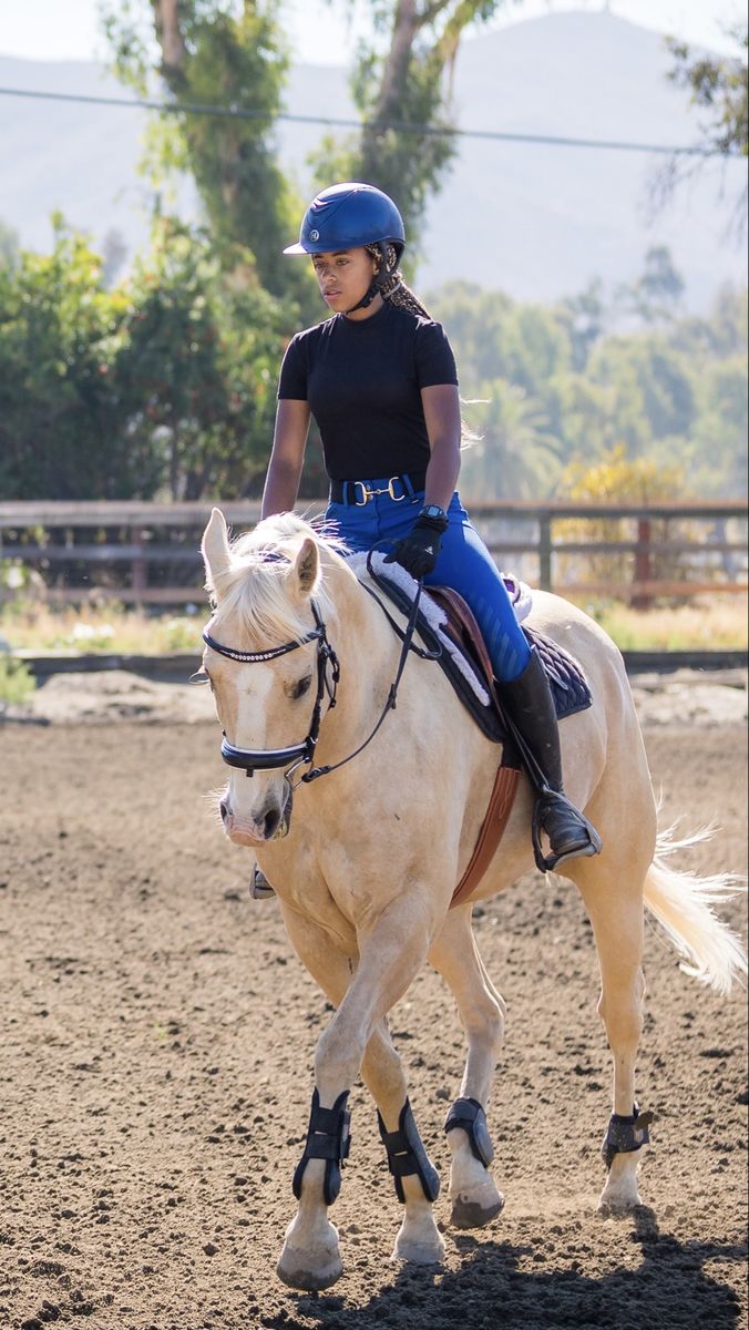 15.3hh registered Palomino Appendix Quarter Horse