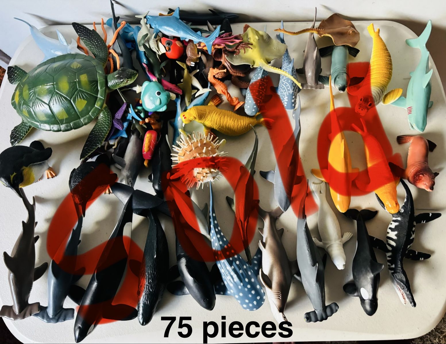 Main image 11