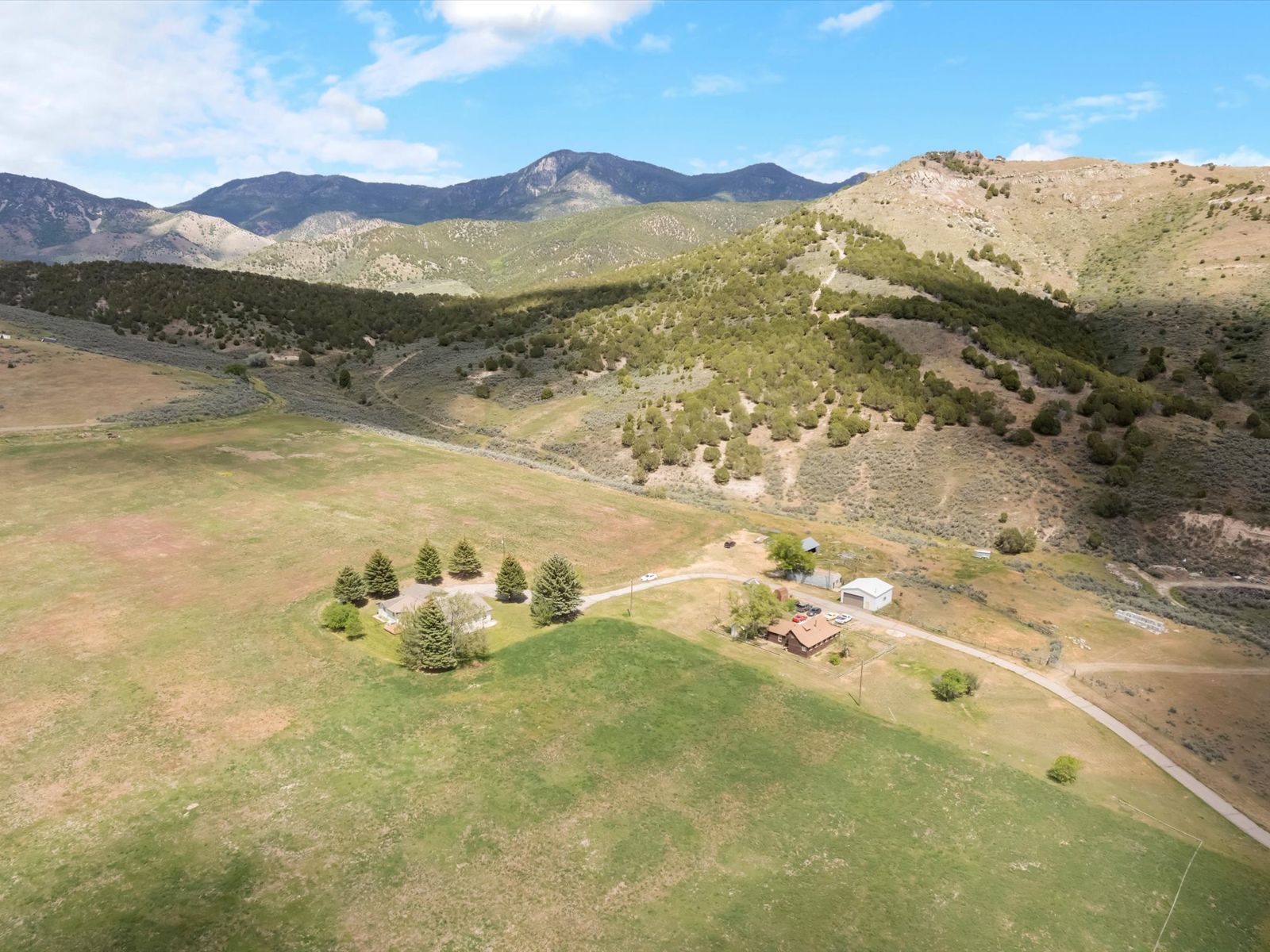 Main image 5
