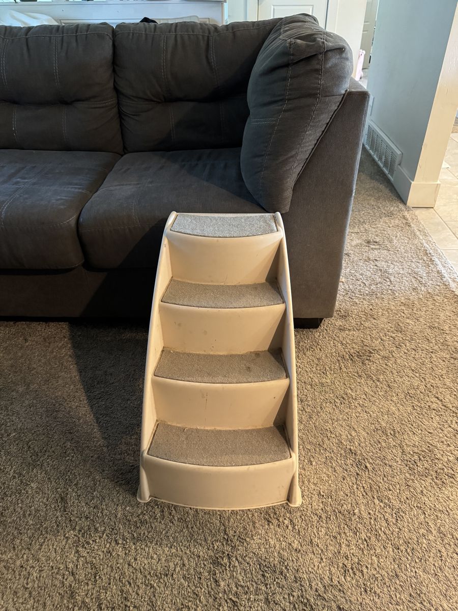 Pet steps
