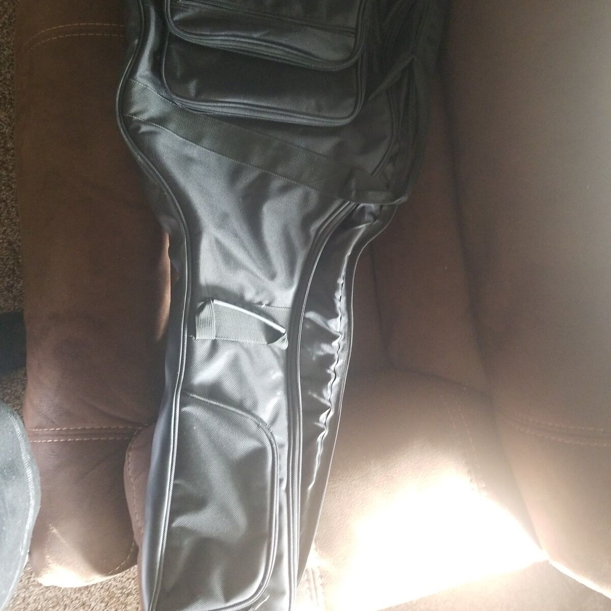 Double gig bag